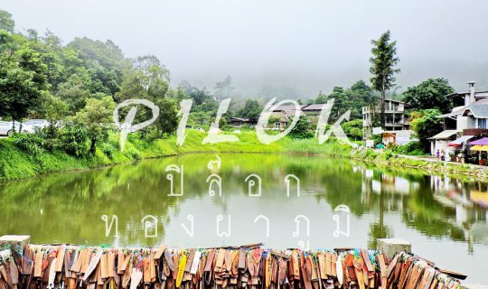 Cover Pilok - Thong Pha Phum...