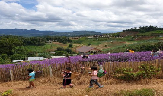 Cover One Day Trip : Doi Suthep-Grand Canyon-MonCham,Chiang Mai...