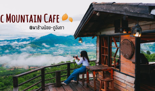 Cover Magic Mountain Cafe @ Phu Langka, Payao Province...