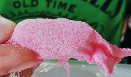 Cover Exploring the Culinary Delights of Ang Thong...