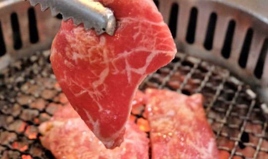 Cover TORA YAKINIKU X CAFE: Premium Meat, Diverse Seafood, Amazing Salmon,...