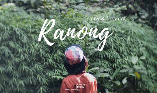 Cover Rain falls... lush greenery... in Ranong....