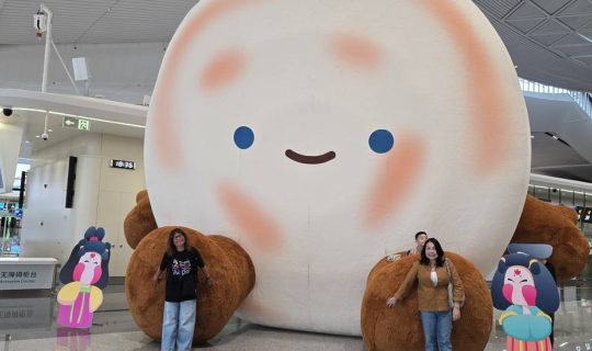 Cover Xi'an in 3 days 2 nights...