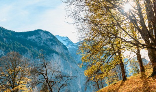 Cover Once in my life...The Seasons Change in Switzerland...