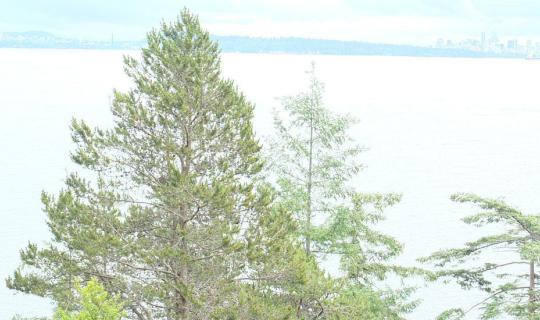 Cover Vancouver: A City Worth Exploring...